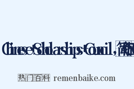 Chinese+Scholarships+Council，简称CSC是什么意思的图片